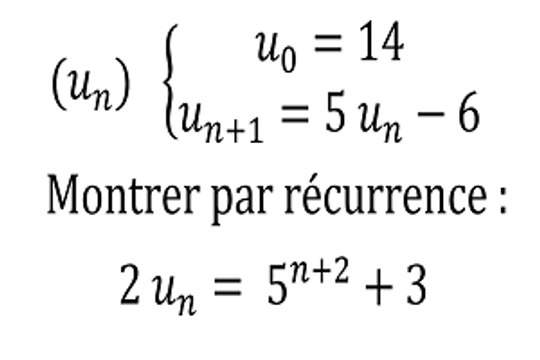 Montrer une égalité avec un raisonnement par récurrence - Terminale