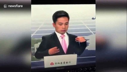 Television anchor freaks out when attacked by bee in studio