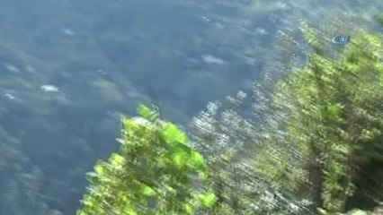 PKK'lı Terörist Yer Gösterdi, C4 ve Zırh Delici Patlayıcılar Ele Geçirildi