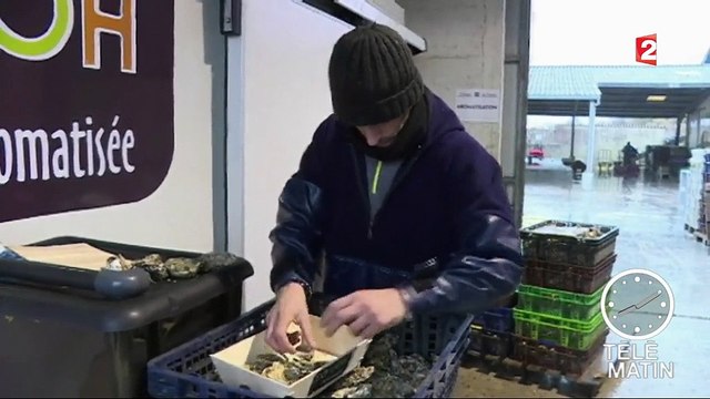 Avec ses huîtres à la framboise ou au gingembre, cet ostréiculteur fait fureur en Chine