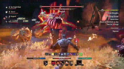 DonAleszandro The Elder Scrolls «-Veteranen Eldengrund mit Don Knight Blade-» (540)