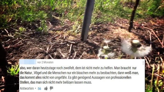 Chemtrails - Die Wahrheit [Teil 1] - Tommys lehrreiche Lehrfilme (Reuploads)