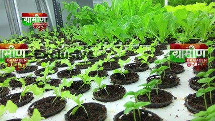 Ajay Naik, a Goa-based hydroponic farmer In Grameen News