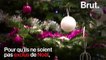 « Tout le monde a le droit à un Noël » : Valérie Trierweiler, engagée auprès des Pères Noël verts