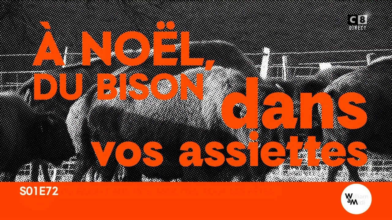 A Noël, du bison dans vos assiettes
