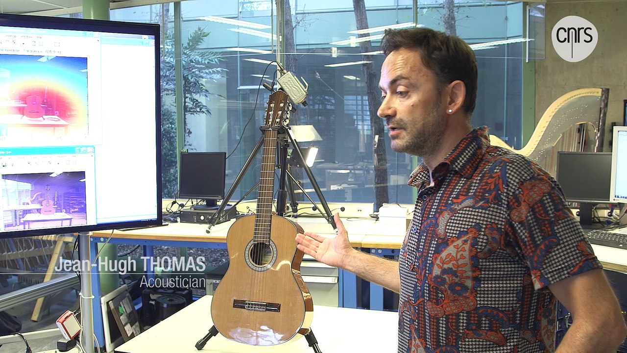 Physics of the guitar