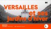 Versailles et ses jardins d'hiver