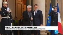 Emmanuel Macon rencontre Mahmoud Abbas - La France comme médiateur au Proche Orient?