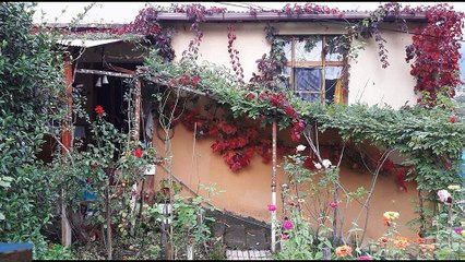 Çarşıbaşı Kavaklı Köyü