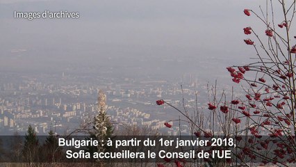 Les charrettes ne sont plus le dada de Sofia