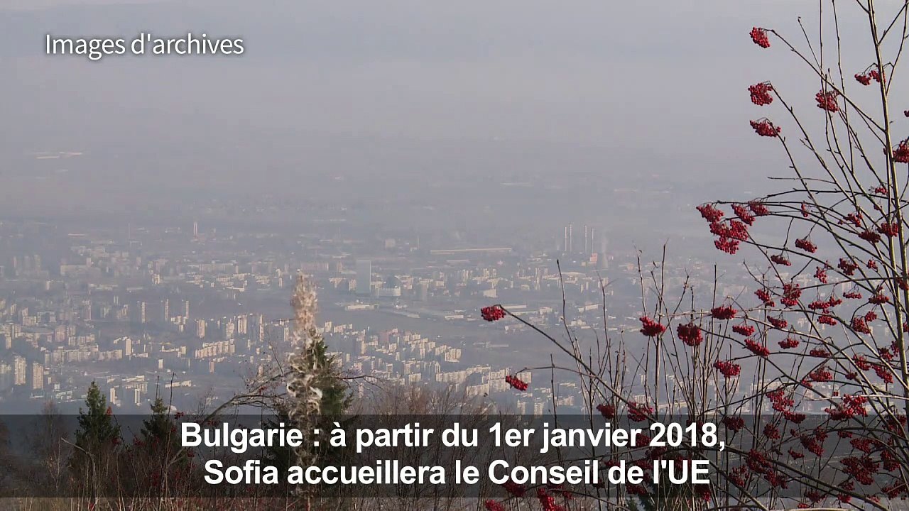 Les charrettes ne sont plus le dada de Sofia