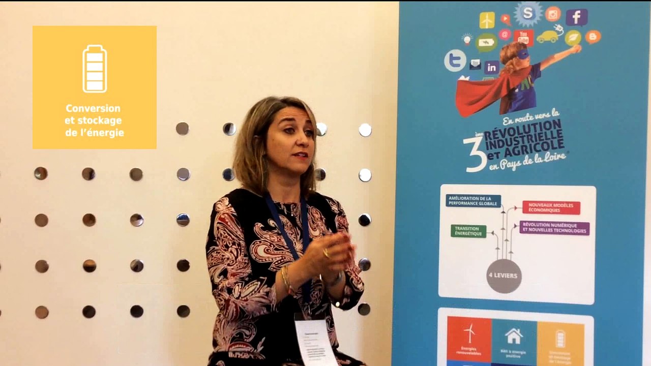 La TRIA en Pays de la Loire - le pilier Conversion et stockage d'énergie