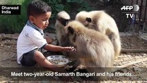 Modern-day Mowgli: Indian toddler forges bond with monkeys
