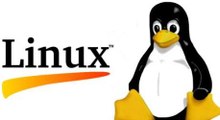 Linux vs. Windows: semelhanças e diferenças