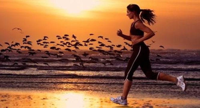 Portal Minha Vida: super dicas de saúde, bem-estar e alimentação na internet