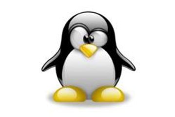 “Filhos do Linux”: será que eles se dão bem com o Windows?