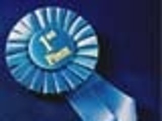 Concurso Piores Sites da web: dê o seu voto!