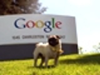 Quer saber como é trabalhar no Google?