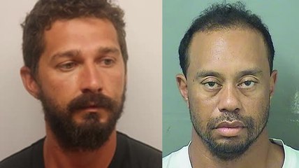 A Look Back Celebrities Arrested in 2017