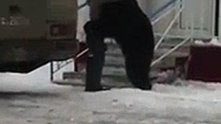 Funny Video: Crazy Russian Rides a Bear Outside His House