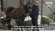 Bulgaria's capital plans to ban horse-drawn carts