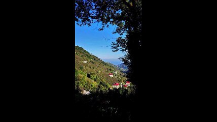 Çarşıbaşı Pınarlı Köyü