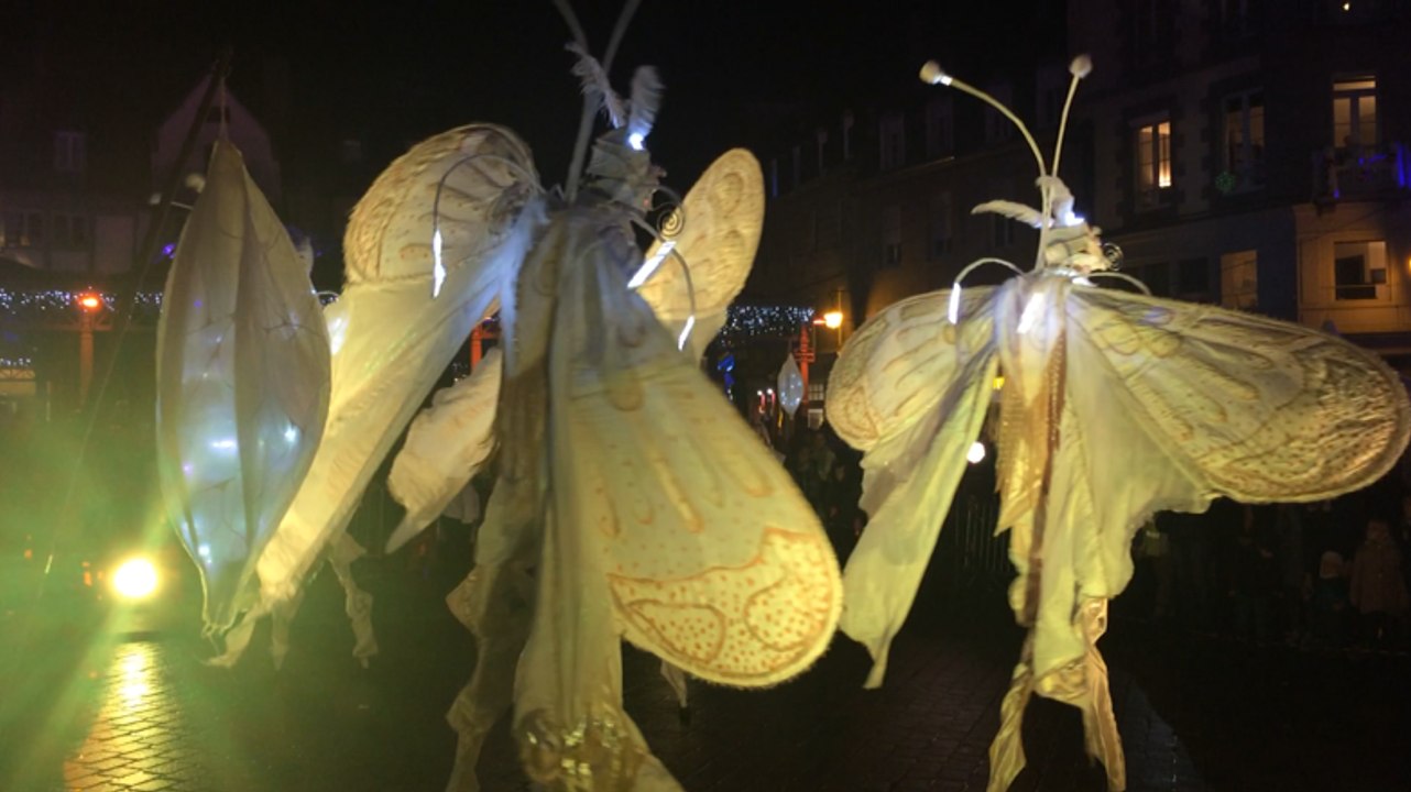 Une éclosion poétique de papillons