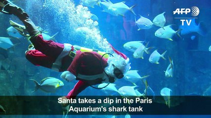 Santa Claus takes a dive at the Paris Aquarium