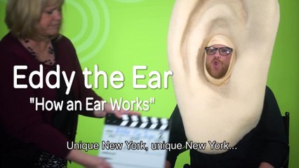 Eddy the Ear - How Hearing Works