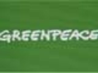 Nesse site dá até para nadar junto com as baleias