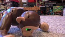 Zoomer Chimp, Full Review of Zoomer Interive Robot Pet Chimp From Spin Master