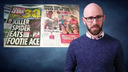 Top 10 Most VENOMOUS SPIDERS in the WORLD