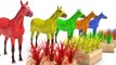 Learn Color Learn Shapes Animals Horse Horse W Grass Cartoon Nursery Rhymes for Children
