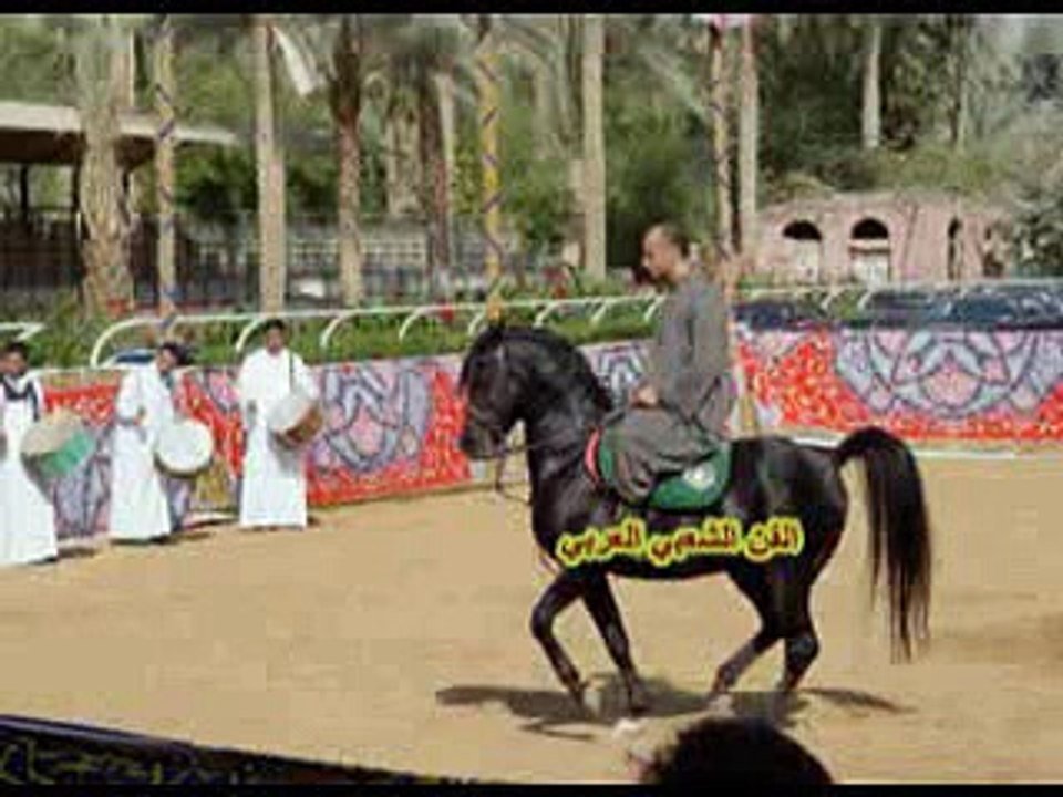 الفنان الشعبي لطفي بن زينة 2017