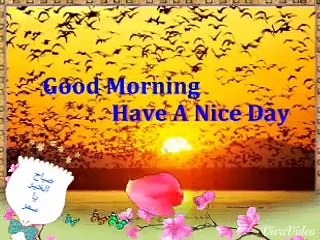 صباح الخير يا سمر