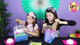 HATCHIMALS BEARAKEET EGG HATCHING RACE CHALLENGE Toy Haul Review