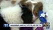 Warning about pets as gifts during the holidays