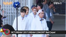NCT DREAM '2017 DREAM CONCERT' Red Carpet (My First and Last, 마지막 첫사랑, 2017 드림콘서트)-5hS95jgV0V8