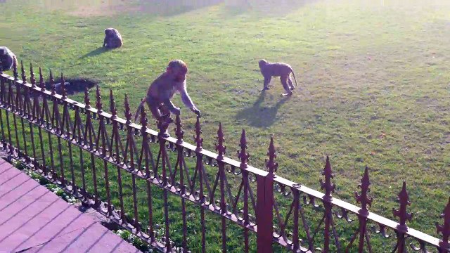 Agra Fort | Best Monuments in India