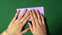 Origami 'Iris' 折り紙 「菖蒲」折り方-Ur637fw-F84