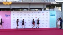 Red Velvet(레드벨벳) '2017 DREAM CONCERT' Red Carpet (Rookie, 2017 드림콘서트)-GxD-VQe00Xc