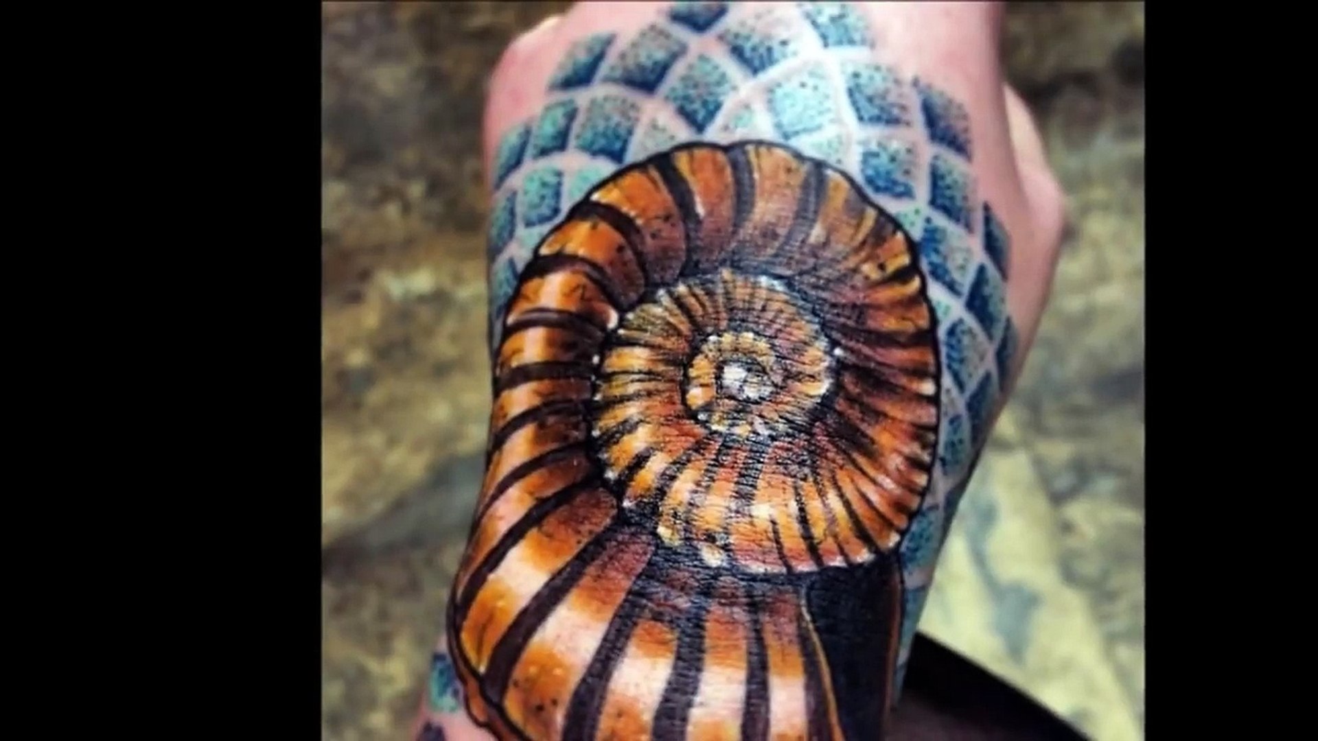 40 Ammonite Tattoos Tattoos For Men-2rspsmWX5O4 - video Dailymotion, image size:1920x1080