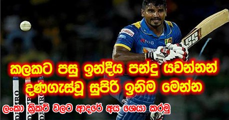 කලකට පසු පිටියට ඇවිත් ඉන්දීය පන්දු යවන්නන් දණගැස්වූ සුපිරි ඉනිම මෙන්න