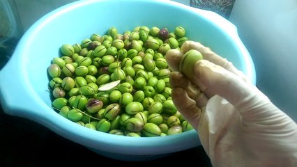 طريقة تحضير الزيتون الاخضر بالبيت  الجزء الاول مع عائشة-5iytun-3GZ0