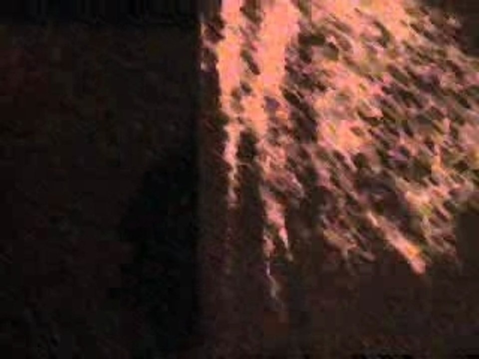 BLEEDING WHISPER
