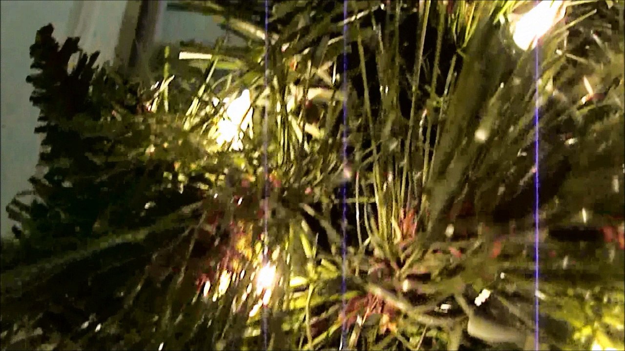 Boogey's Christmas Spirit!