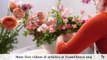 Fast Flower Video - Spirea, Geranium, Sweet Pea, and Ranunculus-u_Tl8HyZP30