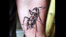 50 Ant Tattoos Tattoos For Men-JnZ3FH8zF5M