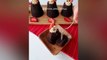 How to Make Chocolate Cake _ Chocolate Balls _  Amazing Chocolate Cakes Decorating Tutorials 2017-2UpJEDYEPtE