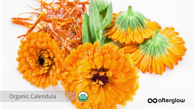 How to Apply our Natural Aloe Concealer - Afterglow Cosmetics